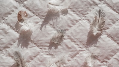 Veren en dons als vulling in matrastopper